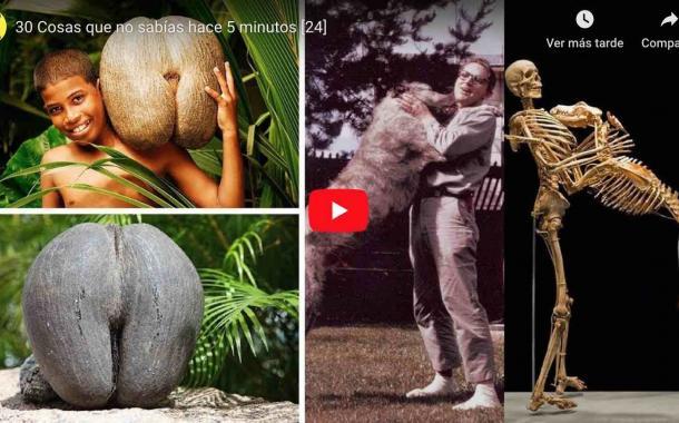 Video: 30 Cosas que no sabías hace 5 minutos